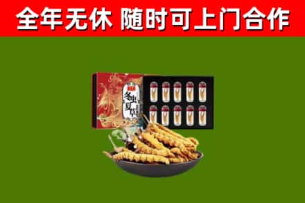 武汉市回收冬虫夏草价格